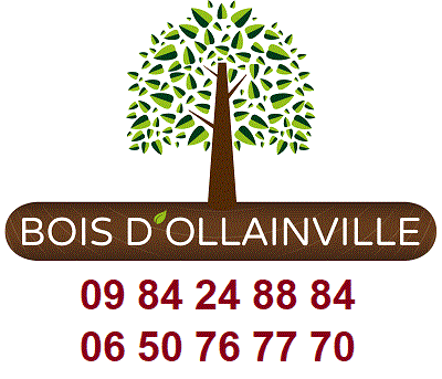 BOIS D'OLLAINVILLE - LIVRAISON DE BOIS DE CHAUFFAGE IDF
